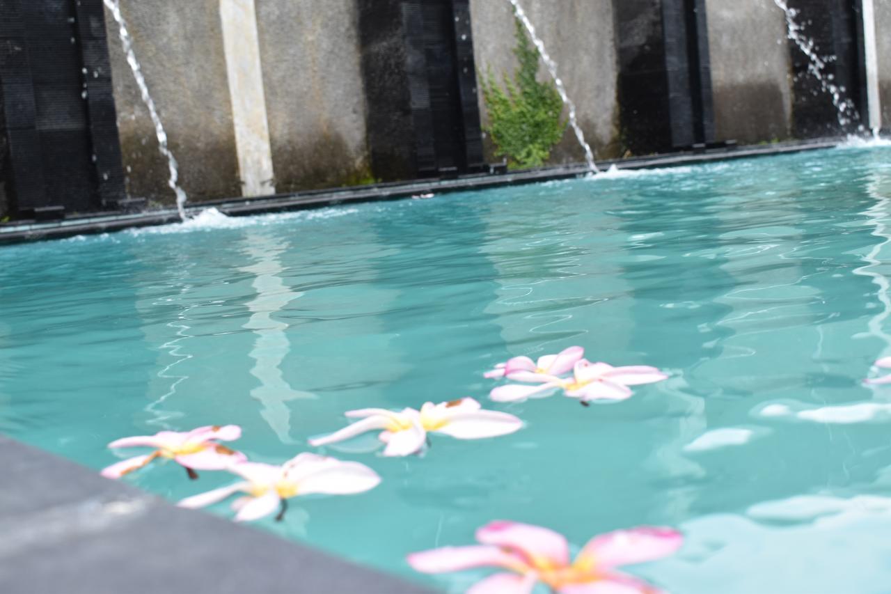 D Ajenk Boutique Guesthouse Kejayan Ngoại thất bức ảnh